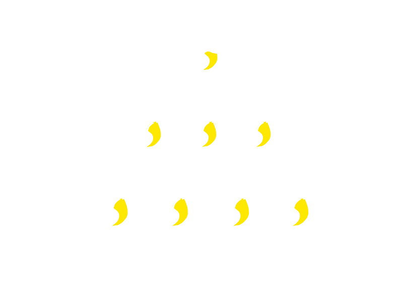 opera-model-gestao-tradicional-macacos-piramide-branco